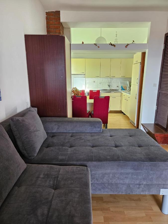 Apartments With Swimming Pool 9X4M Selce Kültér fotó